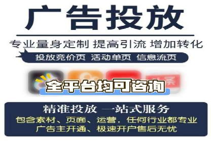 某企业通过SEO和SEM双管齐下实现业绩飞跃的案例